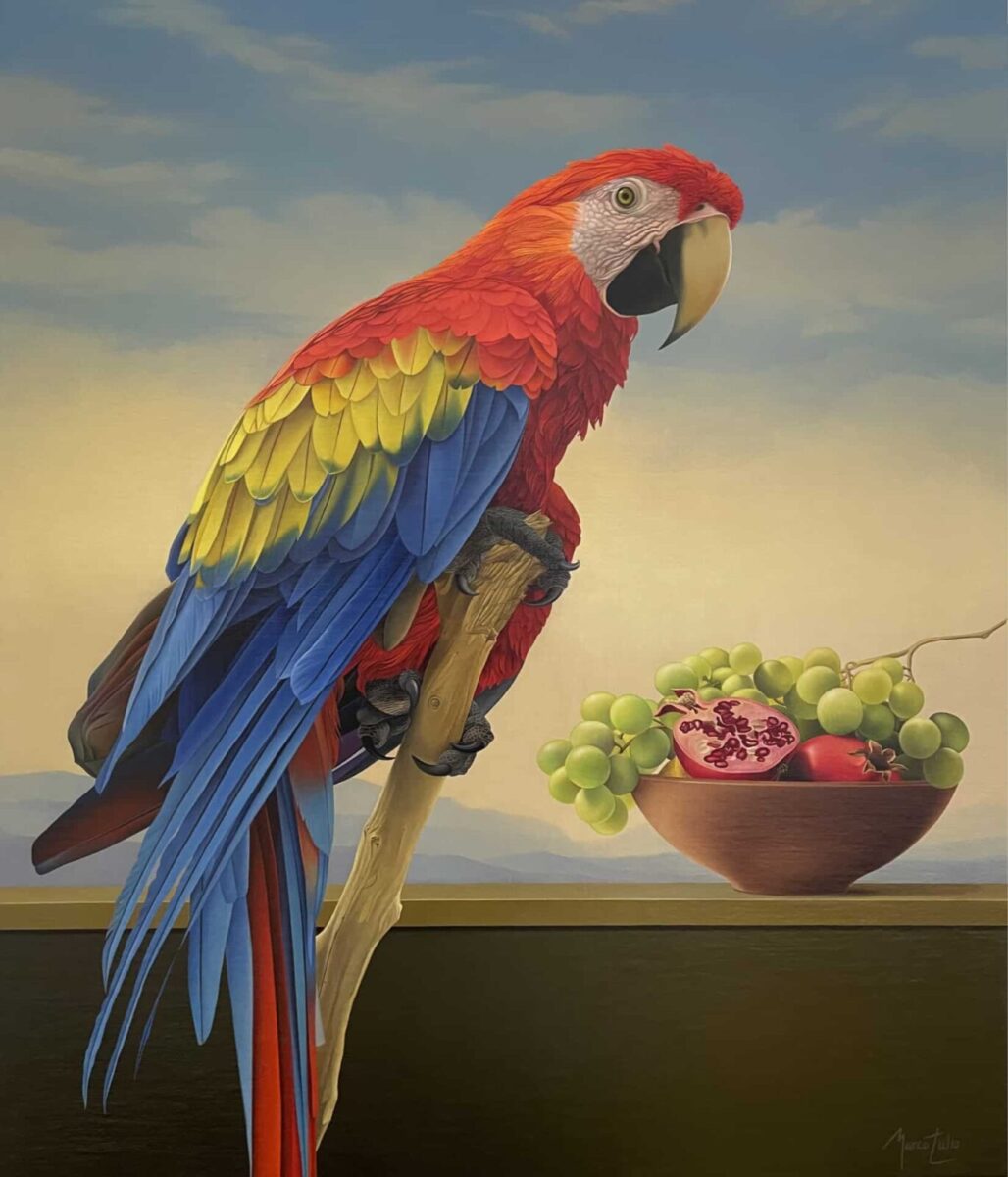 Marco Tulio Macaw