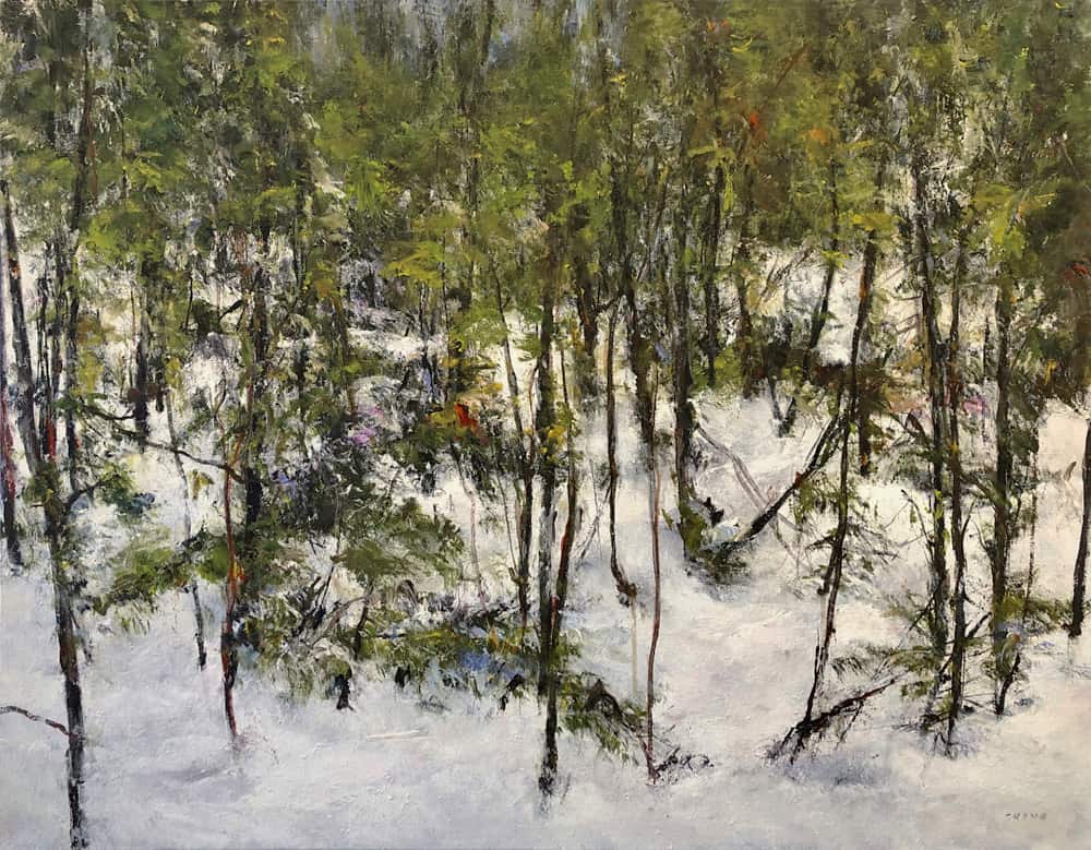 Judy Cheng Evergreen