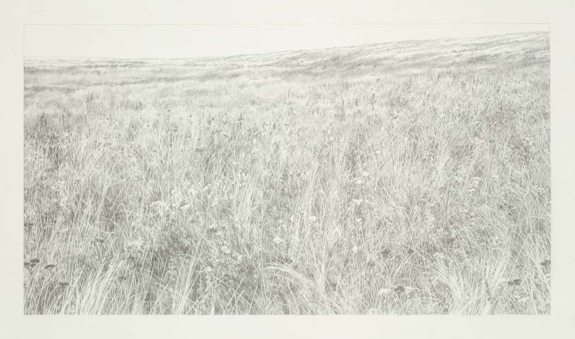 Jane Wolsak Grasslands 15_5x24_5