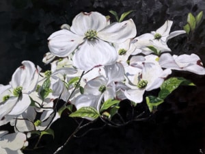 Tatiana Anisimova Pacific Dogwood Ian Tan Gallery