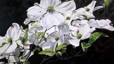 Tatiana Anisimova Pacific Dogwood Ian Tan Gallery