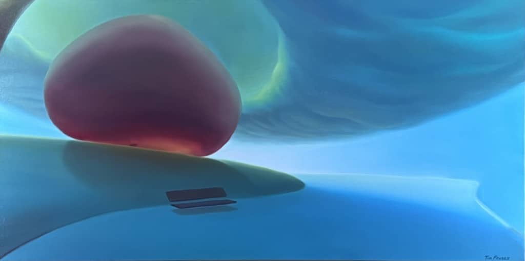 Tim Fraser Seawall Canopy Ian Tan Gallery