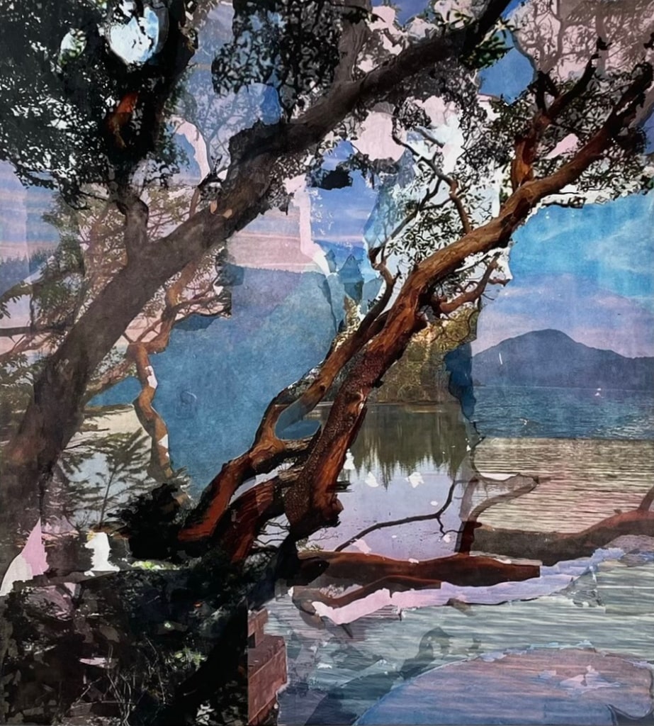 Karen Yurkovich Arbutus Ian Tan Gallery